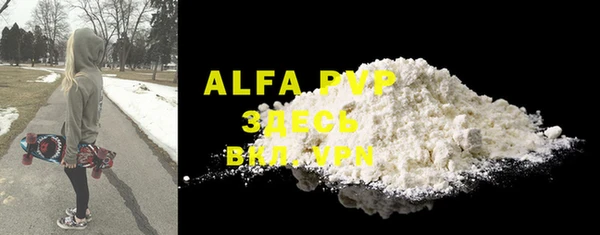 индика Арсеньев