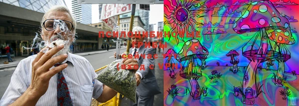кокс Аркадак