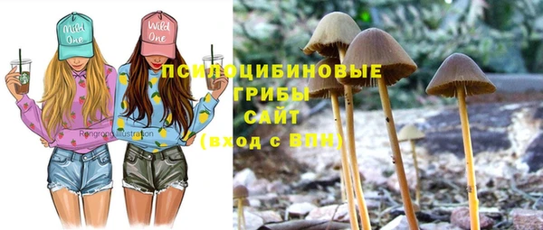 кокс Аркадак