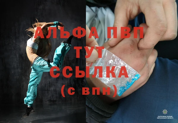 индика Арсеньев