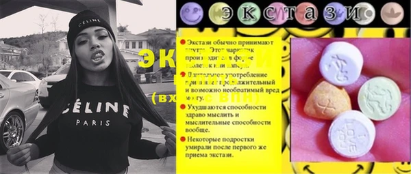 индика Арсеньев